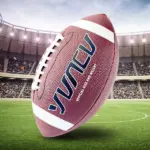 Professional American Football Rugby Ball 3 64234-76a66d.webp