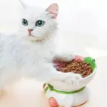 Ceramic Cat & Dog Bowl with Neck Protection 5 71238 73e237