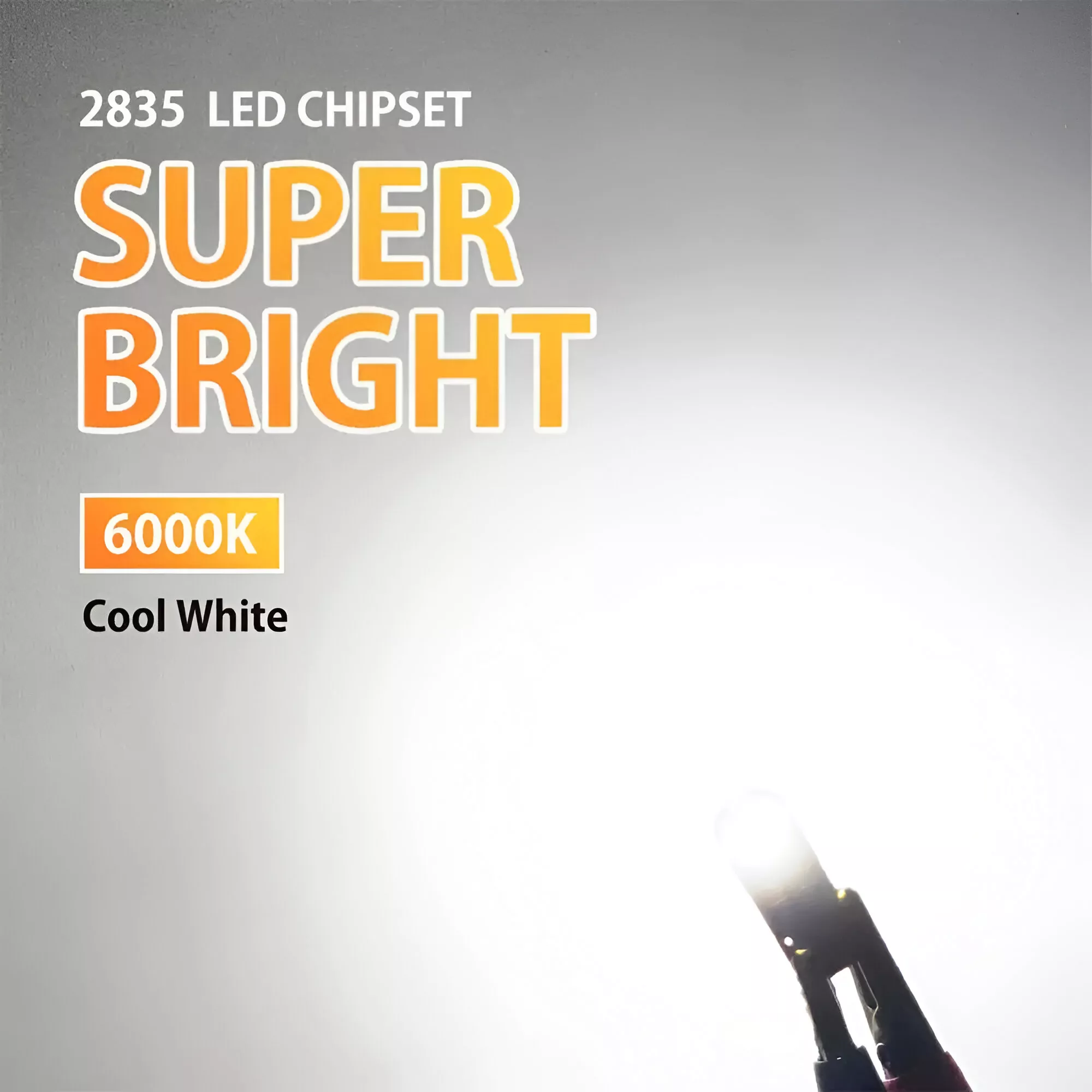 81930-a8efa7.webp